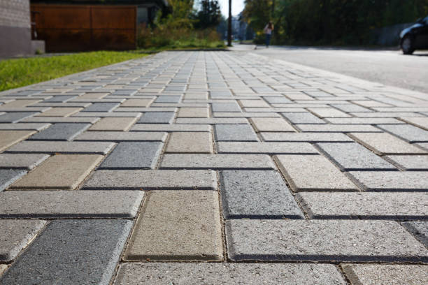 Best Commercial Driveway Pavers  in Maple Grove, MN