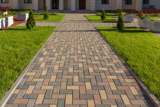 Reasons to Select Us for Your Driveway Paving Requirements in Maple Grove, MN